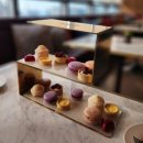 레드컨테이너 클럽거리점 | 잠실 소피텔 앰배서더 럭셔리 패밀리룸 후기(with 클럽 밀레짐 라운지 이용 후기)