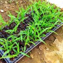 일꾼농장 이미지