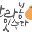 한라봉 잇수다 이미지