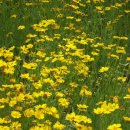 새절역2번출구 이미지