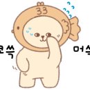 멋짐태권도 이미지