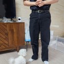 마인드컴 | 막막했던 강아지 배변훈련, 컴피독에서 길 찾은 후기..