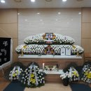 홍*완 Daum카페
