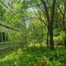 쇠재공원 이미지