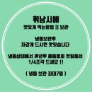 속초붉은대게수산&게싸다구 이미지