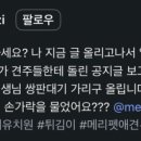 메리펫 - 달성군 다사로 2 | 메리펫