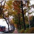 신촌정자마을회관 이미지