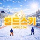 비에스스포츠 - 서구 한서로 14-2 | 엘리시안강촌 리프트권 및 스키장 정보