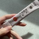 햇살품은과일 | 석류진액 레드 푸드 맛있는데 몸에도 좋다? (feat. 뉴하비츠 햇살품은석류)