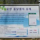 묘안옹달샘 네이버블로그