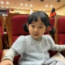 완다푸드스토리 | 26.3.28.~ 3.29 일상