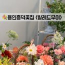 발레드무이 이미지