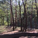 솔밭개울농장 | 알차고 알찬 산소카페 청송 여행(feat.1박2일출장)