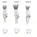행신동물의료센터 이미지