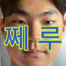 창!원!엔!씨! 엔씨파크 투어 후기 이미지