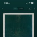 메밀꽃일다 이미지