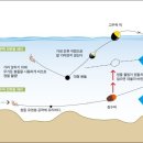 참돔 갯바위 찌낚시 방법 이미지