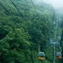 발왕산 관광케이블카 코스 이미지