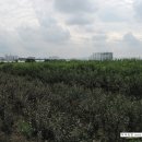 부곡농장2 이미지