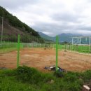 우정진도개 이미지