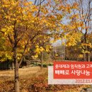 임마누엘제과 이미지