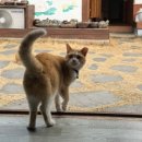 갑사한옥민박 이미지