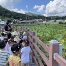 별초롱유치원 이미지