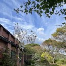 닻미술관 | 닻미술관 카페돛 (경기도 광주)