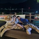 분천민박 이미지