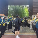 용인경찰서 이미지