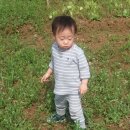 용규농장 Daum카페