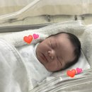 효병원1(도리티고개) | [출산기록] 1-2일차 인정병원 다인실 2인실, 제왕절개 수술 후기, 현재 기준 꿀템 굳이템 나누기