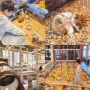 주주실내낚시클럽 | 용인 실내동물원 어디로? 키즈카페 있는 애니멀클럽 수지