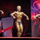 학교폭력예방 복싱과 주짓수 임파파 체육관 이미지