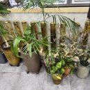 김가네동태탕 이미지