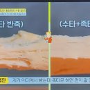은희네손칼국수 이미지