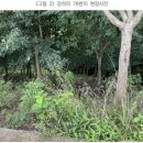 대강면 송내마을 이미지