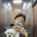 박여사아구 | 주간해누 25년 9월(4) 가수 데뷔, 귤이 미용, 승하 결혼 이슈!