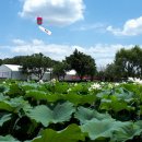 궁남지 서문주차장 이미지