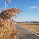 천도공원 이미지