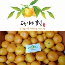 오복이네