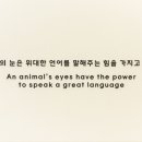 비바동물병원 이미지