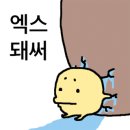 하우스왁싱 - 성동구 왕십리로 311-1 | 하우스왁싱