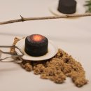 천년거북 희상 이미지