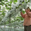 윤씨농장 이미지