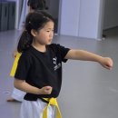 용인대 정무 태권도장 이미지