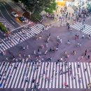 덕천교차로1 이미지