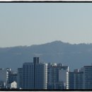 계족산약수터 | 계족산 벚꽃은 지금이 절정