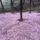 분당-148 이미지