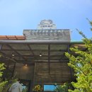더벤티고양동산점 | 내돈내산후기 파주 아이랑갈만한곳 고양이동산